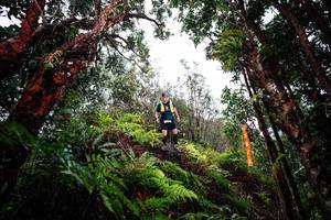 BIB: 
                            <button type="button" onclick="openModal(26205426)" class="btn btn-primary btn-sm float-right btn-popup" data-toggle="modal" data-target=".modal-high-quality">
                        <i class="fas fa-shopping-cart"></i> Add to Cart
                    </button>
                                            <button type="button" onclick="isThisMe(26205426, true)" class="btn btn-success btn-sm float-right btn-popup btn-isme hidden" data-toggle="tooltip" data-placement="bottom" title="นี่คือรูปของคุณใช่ไหม คลิกที่นี่เพื่อเอาเข้าอัลบั้ม">
                        <i class="fas fa-plus"></i> Add to album
                    </button>
                    <button type="button" onclick="isThisMe(26205426, false)" class="btn btn-warning btn-sm float-right btn-popup btn-isnotme hidden">
                        <i class="fas fa-ban"></i> Remove from album
                    </button>